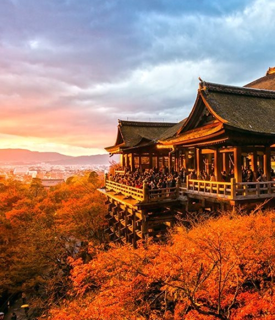 NLG – TOUR NHẬT BẢN MÙA LÁ ĐỎ